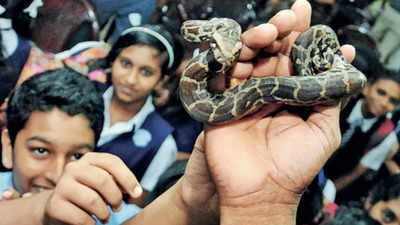 Busy season for rescuers as reports of snake sightings rise in Ernakulam