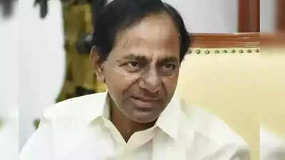 Telangana CM K Chandrasekhar Rao’s name left out of statue plaque as he was not there: Seer