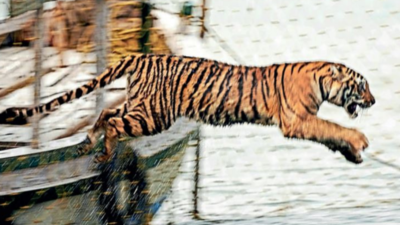 Animal Capturing Net Manufacturer from Kolkata