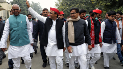 UP polls: 'Yahan ka beta' Akhilesh's 'return' electrifies Karhal contest
