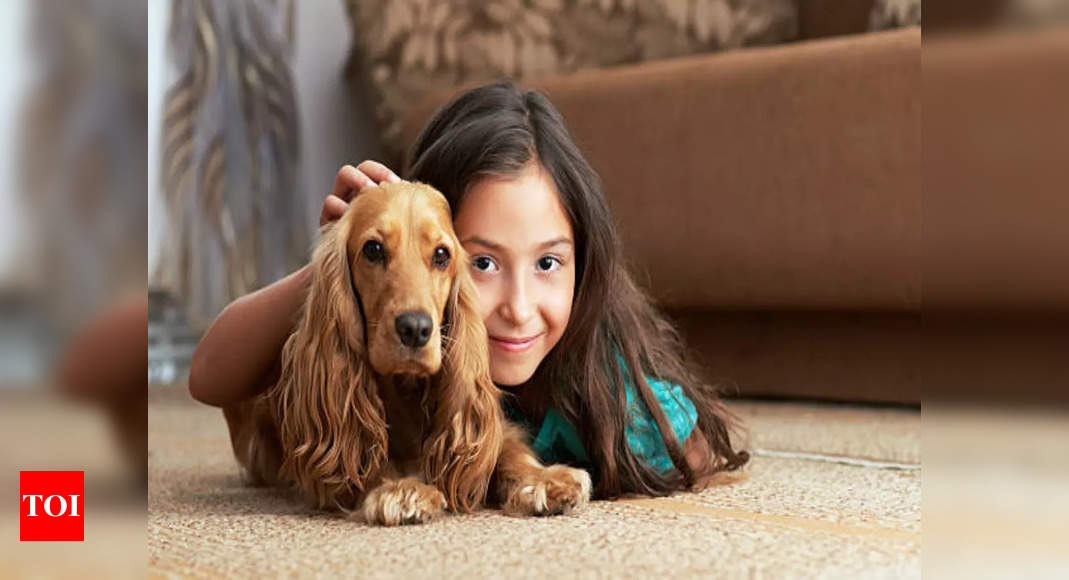 Train your pet to stay alone: Things to follow before leaving your pet alone at home