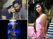 
Anjali Ameer plays a homemaker in her comeback Malayalam film 'Bernard'
