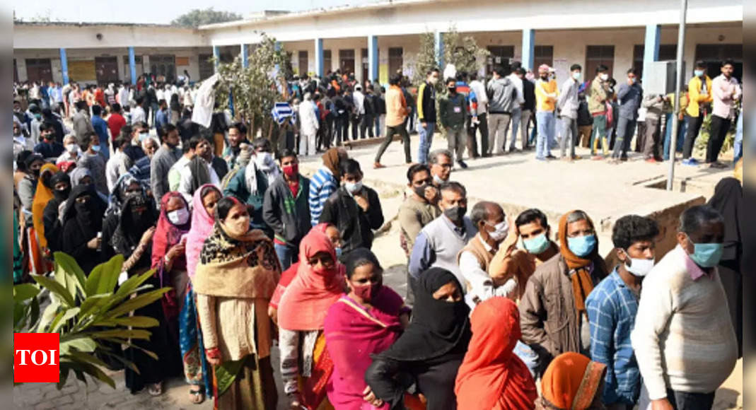 karhal:   Karhal sees 2nd highest turnout ever in keen battle | India News – Times of India