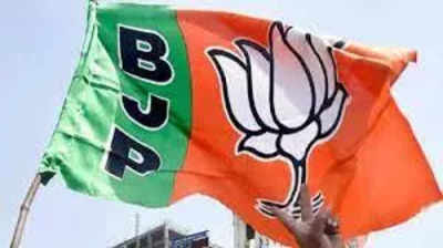 Uttarakhand BJP team to campaign in UP