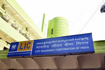 LIC largest holder of G-secs, equities, household savings: Report