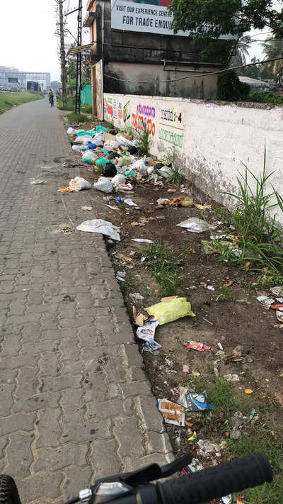 Waste Dumped on main road