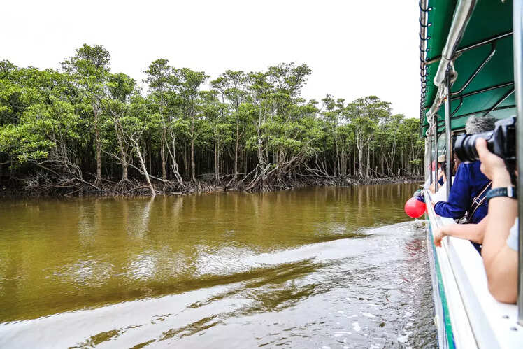 Sundarbans Luxury Cruise