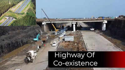 Samruddhi Mahamarg: Ambitious Mumbai-Nagpur highway to have animal passages
