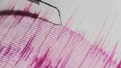 Gujarat: Mild tremor felt in Kutch; no casualty