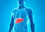 Tackling fatty liver may help up your guard against most diseases