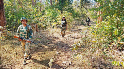 Chhattisgarh: Nine pipe bombs recovered in Kanker forests, defused