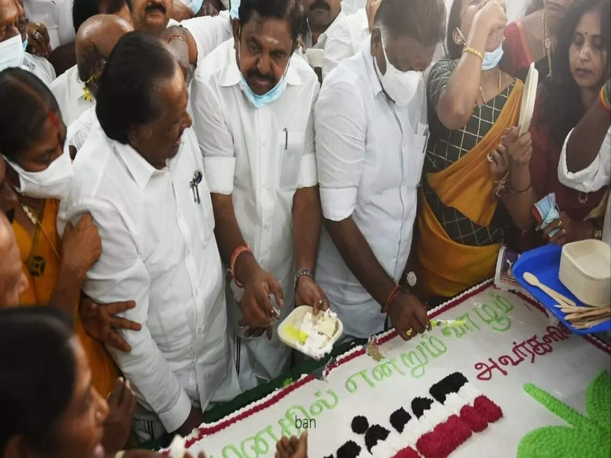In Photos O Panneerselvam Vk Sasikala And Other Senior Aiadmk Leaders Pay Tribute To Jayalalitha On Her 74th Birth Anniversary The Times Of India