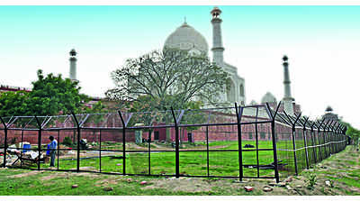 Security fencing around Taj’s rear to be upgraded