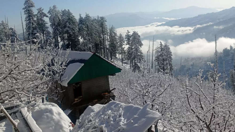 In photos: Heavy snowfall drapes Himachal Pradesh in white blanket