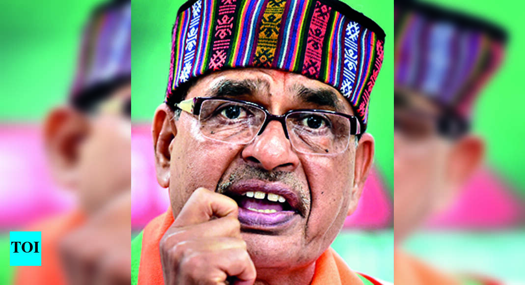 Chouhan: Focus On Jobs, Self-help Groups, Says Chouhan | Bhopal News ...