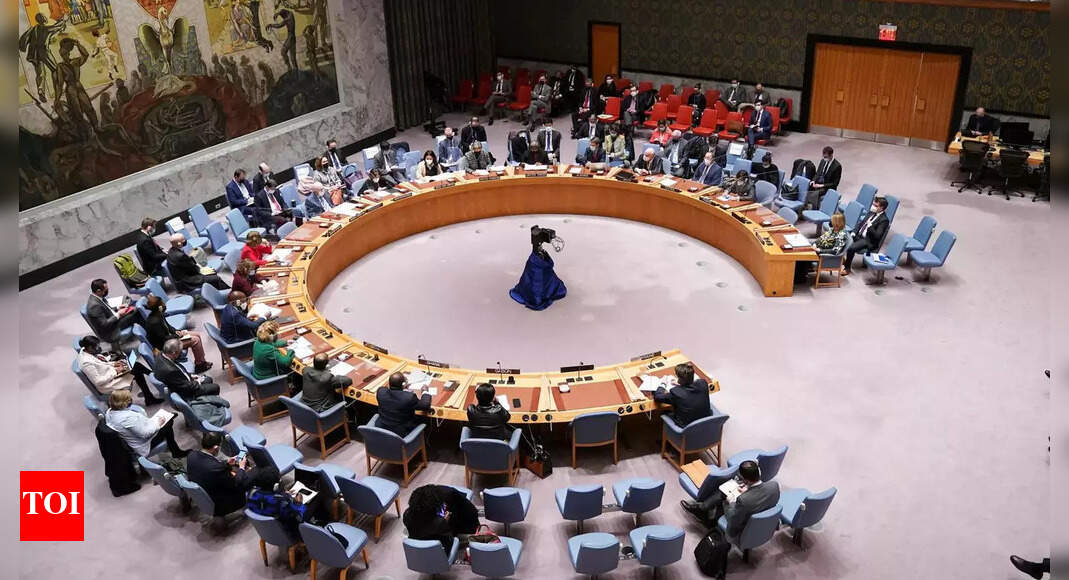 Why India Didn t Vote Against Russia At The UN India News Times Of 