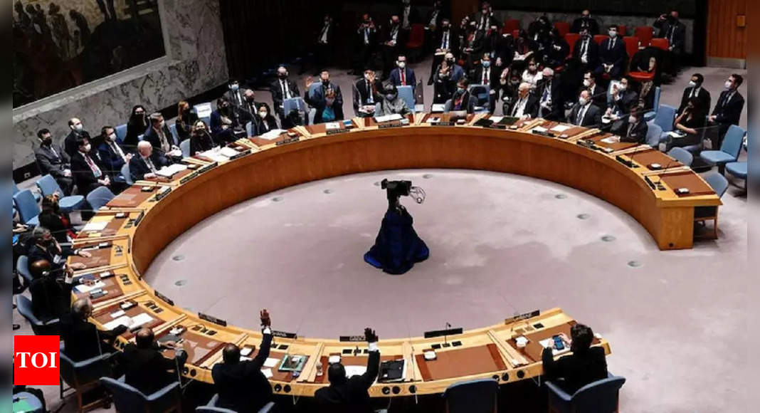 Russia vetoes UNSC resolution; India, China abstain – Times of India