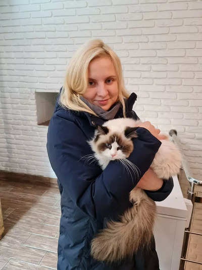 Cat cafe owner vows to remain in Ukraine with his cats