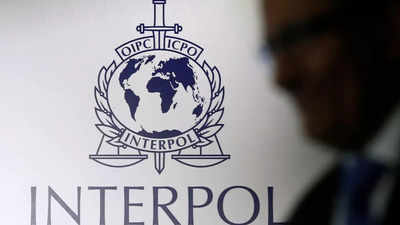 Interpol issues red notices against two Indian-origin brothers who fled South Africa