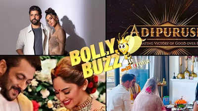 Bolly Buzz: Has Salman Khan secretly married Sonakshi Sinha? Priyanka Chopra and Nick Jonas perform Maha Shivratri Puja