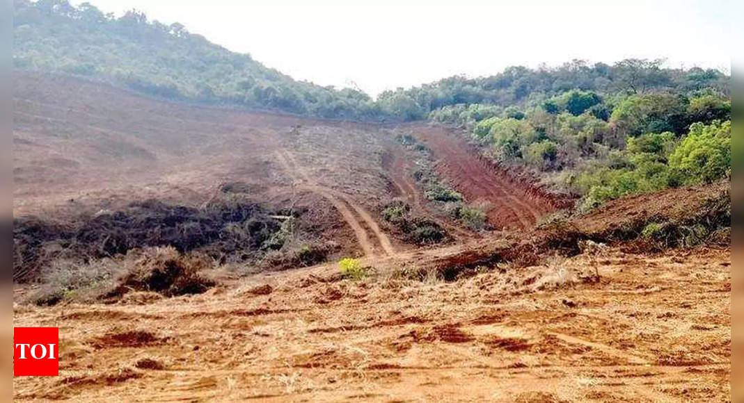 Goa preparing to oppose Fukeri dam