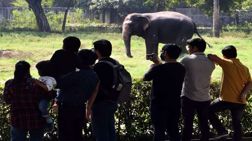 Delhi zoo reopens