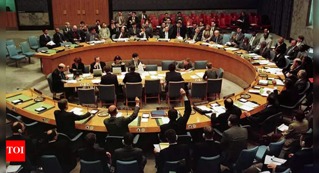 timesofindia.indiatimes.com