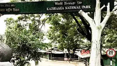 Tiger found dead in Assam's Kaziranga National Park, poisoning suspected