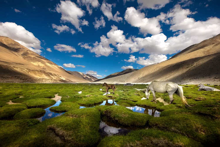 ladakh travel guidelines 2022