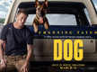 
Channing Tatum's 'Dog' to release in Indian cinemas on March 11
