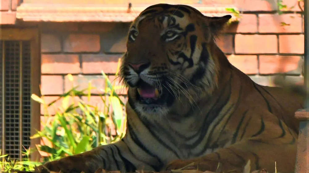 Byculla zoo