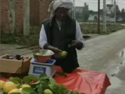 After 'Kacha Badam', 'Guava Dadu' goes viral! - Times of India