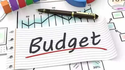 In poll-year populist budget, Gujarat govt levies no new taxes