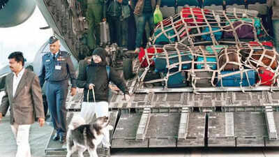 Pet Project: On Iaf's Evac Flights, A Husky, Three Cats ...