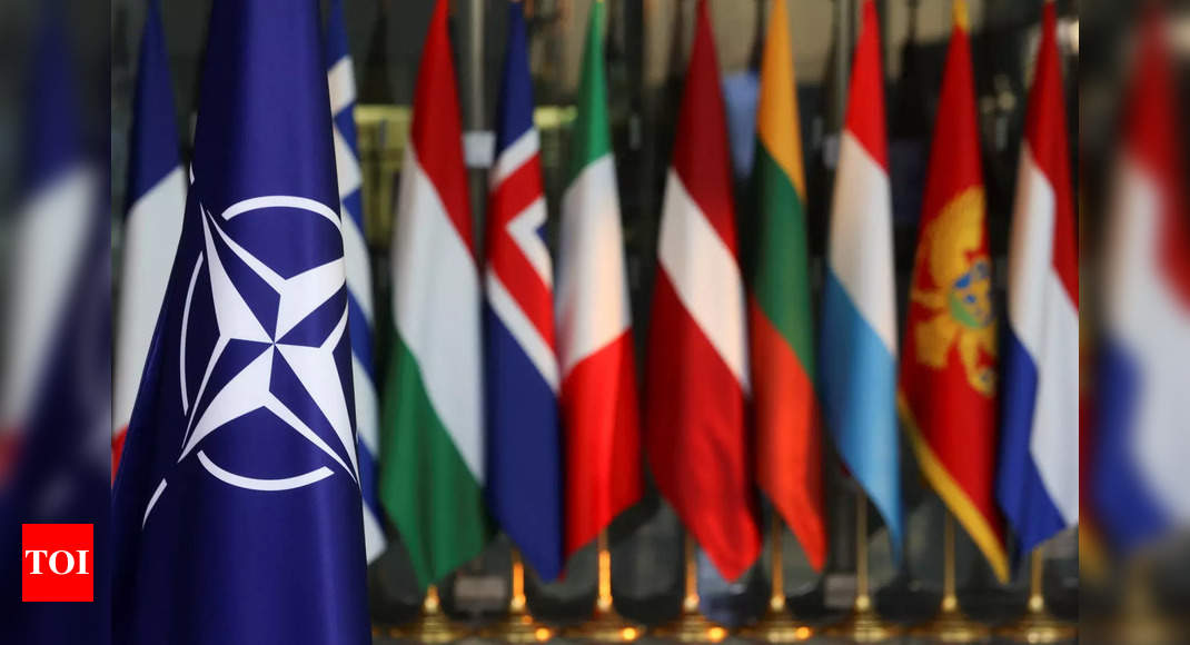 NATO meets as Ukraine calls for no-fly zone to hinder Russia – Times of India