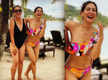 
Kim Sharma looks breathtakingly gorgeous in her latest bikini pics
