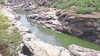 River basin management only solution to water disputes: Karnataka CM Basavaraj Bommai