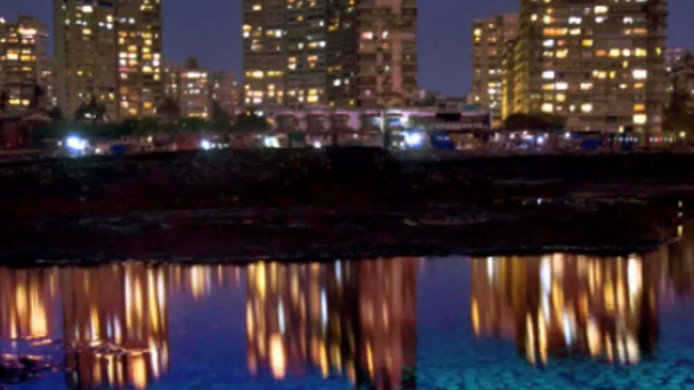 Photos from Mumbai: A moonlit sky & glowing marine gems