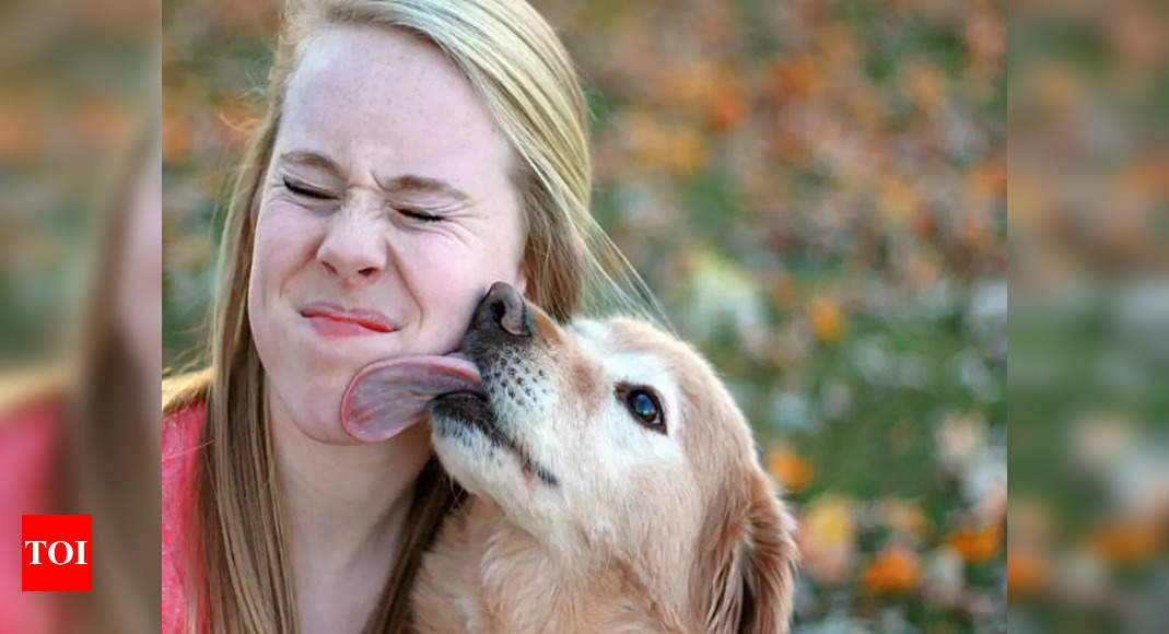 Home remedies to fight bad dog breath: Home remedies to make your pup’s smelly kisses sweet