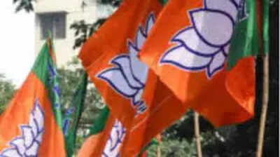 Mirzapur: BJP banks on priest-turned-neta & twin allies to pin SP