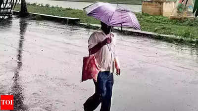Light rain in Pune on March 8 & 9, cloudy conditions to persist: IMD