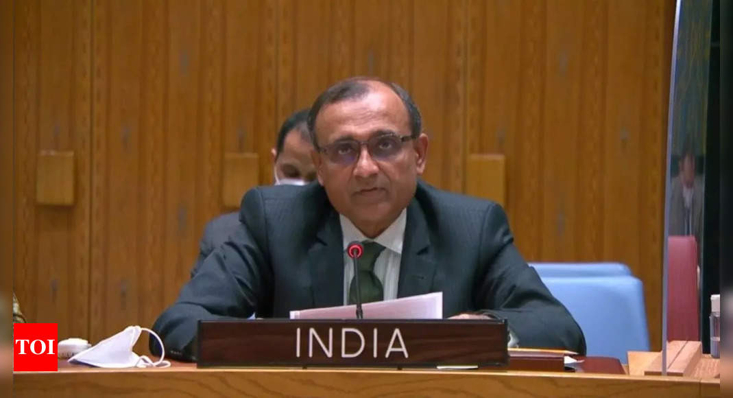 At UNSC, India says humanitarian action should not be politicised amid Ukraine crisis | India News – Times of India
