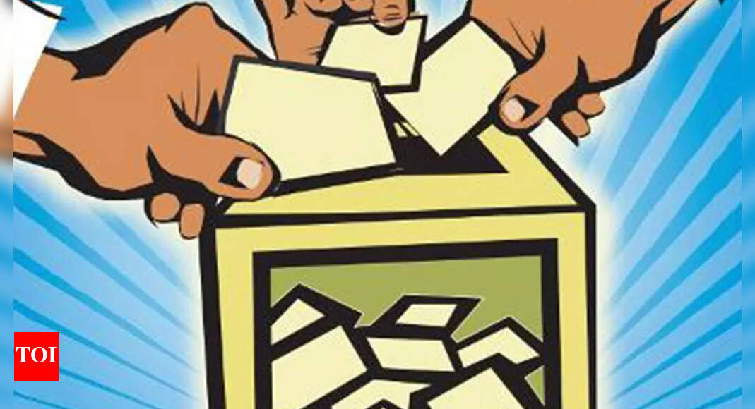 Goa elections: With fractured mandate looming, independents look to ally with govt