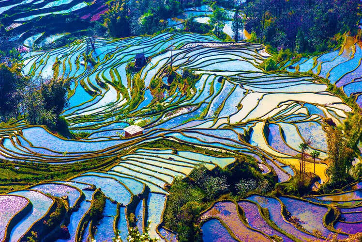 World’s most incredible rice terraces in pictures | Times of India Travel