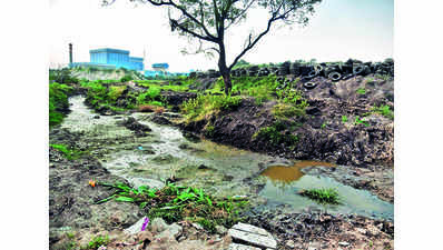 NGT orders biomining at Jawaharnagar dump site