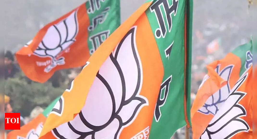 BJP sweeps Assam urban body polls