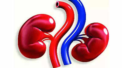 Kidney patients may double in Telangana in 5 years