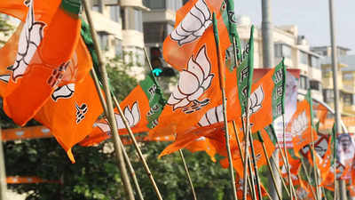Exit polls show BJP win in Uttar Pradesh: Saffron gulal in demand