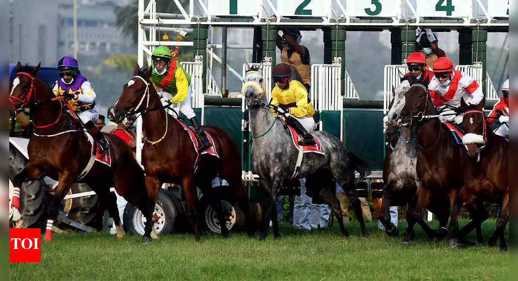 Mumbai Races: Son Of A Gun for feature | More sports News - Times of India