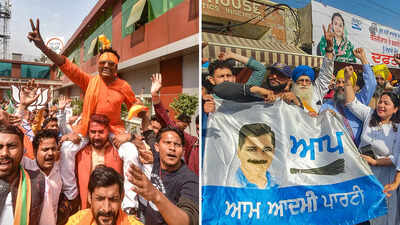 BJP holds fort, AAP sweeps, Cong sinks: 10 key takeaways
